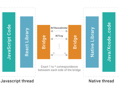 What is the primary programming language used in React Native development?