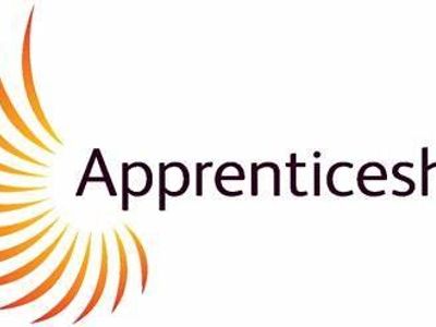 What is an apprenticeship?