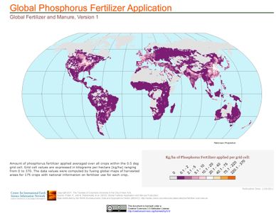 Which gas is primarily responsible for the hole in the ozone layer?