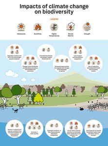 What is the primary source of energy for most ecosystems?