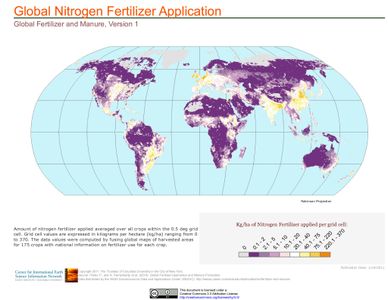 What is the process of converting atmospheric nitrogen into a usable form called?