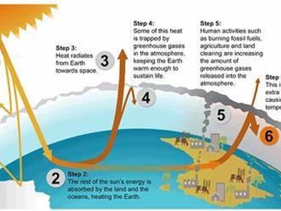 Which gas is primarily responsible for the greenhouse effect?