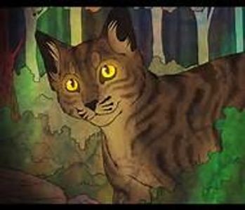 How many half-brothers does Brambleclaw have