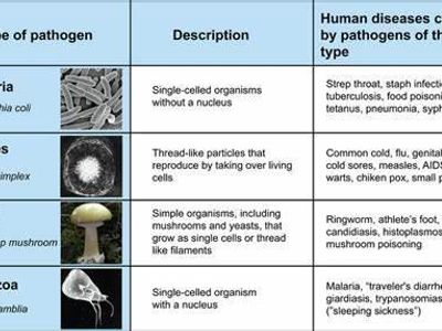 Which of the following is an example of a fungal infection?