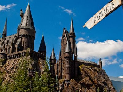 Which famous wizarding school has a basilisk within its Chamber of Secrets?