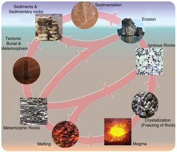 Which type of rock is formed from the cooling and solidification of magma?