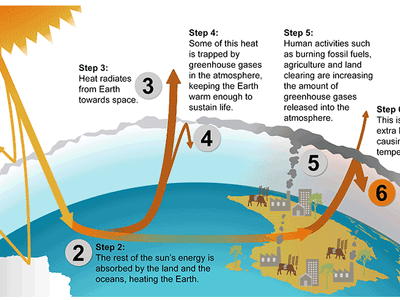 What is the term for the increase in average global temperatures due to human activities?