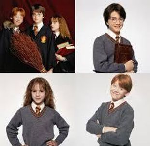 What does the fandom of Harry Potter call Harry, Ron, and Hermione?