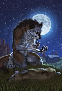 What do werewolves transform into during the day?