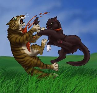 The Darkest Hour: Why did Tigerclaw die?