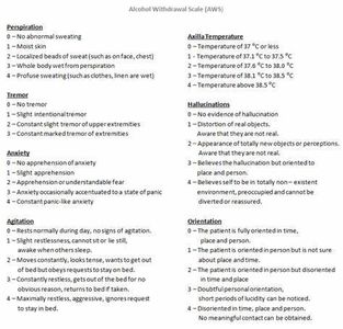 What is the term used to describe the state of severe alcohol withdrawal?