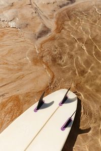 How many fins does a thruster surfboard typically have?