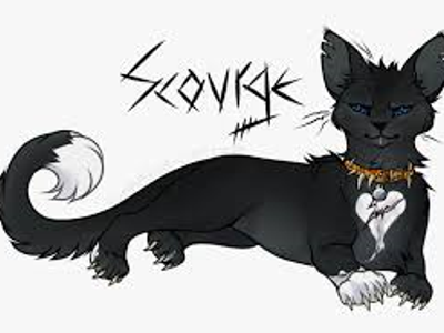 How does  scourge come up with his name?