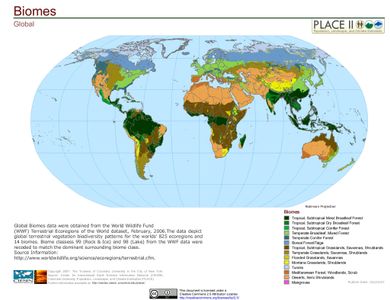 Which continent is the coldest?