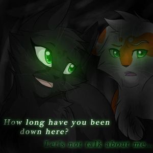 How does Hollyleaf die?