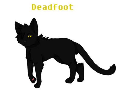 What cat did Deadfoot chose to go to Sun- Drown place?