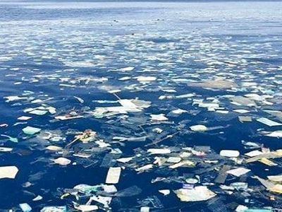 Is the Pacific Garbage patch as big as Fiji? The great Pacific Garbage patch is an area of dense plastic waste in-between America and Hawaii.  Is it: