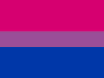 What does bisexual mean?