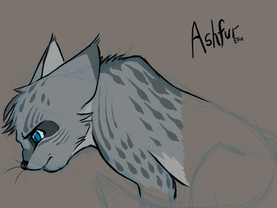 What things are true about Ashfur?