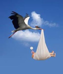 Which bird is often associated with delivering babies in myths?