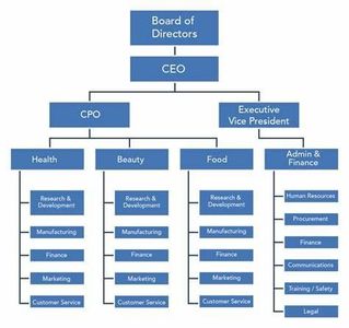 Which company has a 'Flat Hierarchy' with no traditional managers?