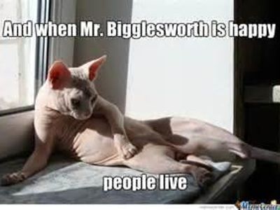 do you know the "Mr. Bigglesworth gets Upset" thing?