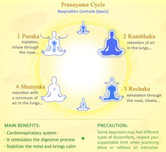 What is the main goal of pranayama in yoga?