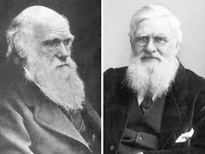 Who is credited with developing the theory of evolution by natural selection alongside Charles Darwin?