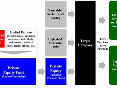 Which financial institution specializes in acquiring equity ownership in private companies or restructuring struggling businesses?