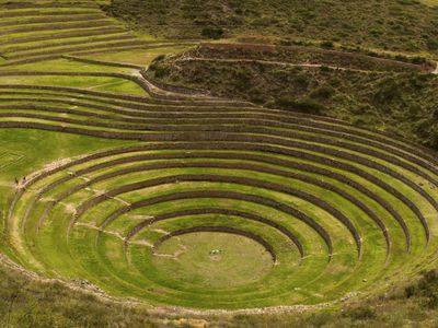 What was the primary agricultural crop of the Inca Empire?