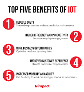 What is the main purpose of IoT?