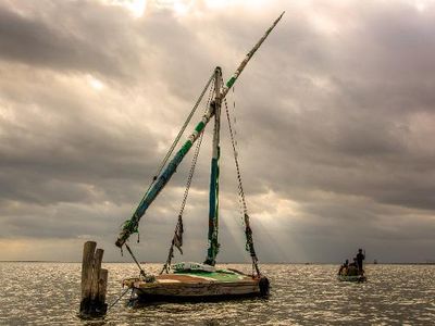 What word is used to describe the side of the boat that is away from the wind?