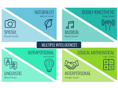 Which theory suggests that intelligence is multifaceted?