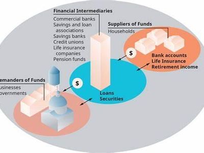 What type of financial institution offers short-term loans and financing to businesses and governments?