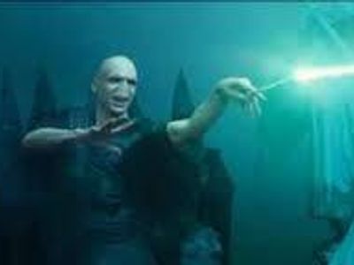 what is the very last word stated by harry in the Sorcerers Stone?