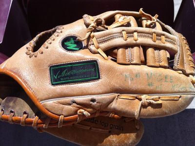 Which of the following materials are used for baseball glove?