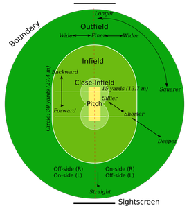 What is the standard size of a cricket ball (in centimeters)?