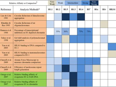 Which biotechnology technique is used to determine the sequence of DNA?