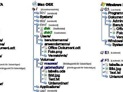 What is the file management system used in Windows operating systems?