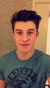 When Shawn Mendes was in School, what TWO sports did he love to play the most?