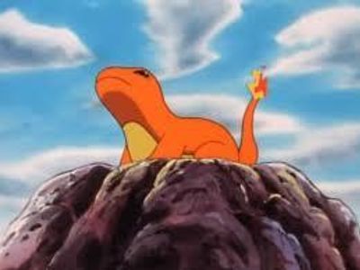 if you find a wounded charmander with a small fire on its tail, what do you do?