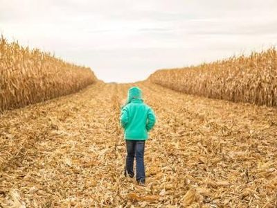 How many of these English names mean "field (of anything)"?