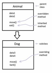 Which keyword is used to prevent a method from being overridden in C#?