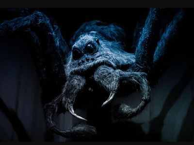 Aragog's wife is called: