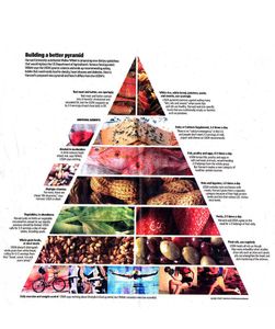 Which food group should be consumed in moderation?