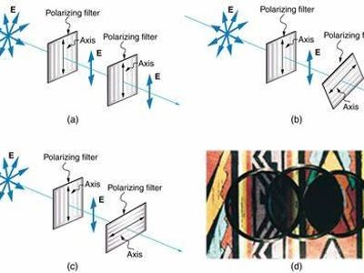 Polarized lenses are designed to reduce what type of light?