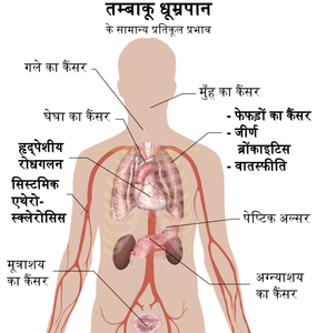 What is the average number of chemicals found in cigarette smoke?