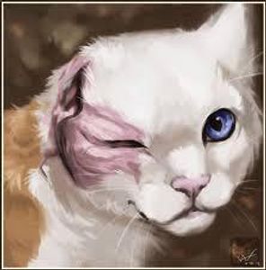 How did Brightheart lose one of her eyes?