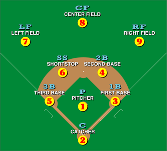 What is used by fielders to catch and field the baseball?