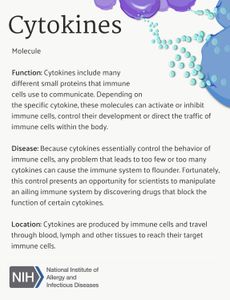 What is the role of cytokines in the body's immune system?